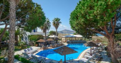 Lees alles over Hotel Alkyoni Beach  in de plaats Naxos stad op Naxos voor je vakantie in 2025