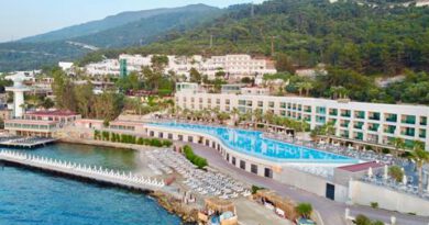 Lees alles over Hotel Blue Dreams  in de plaats Torba op Egeïsche Kust voor je vakantie in 2025