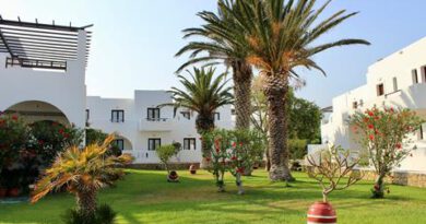 Lees alles over Hotel Irini  in de plaats Afiartis op Karpathos voor je vakantie in 2025