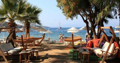 Lees alles over Hotel Okaliptus  in de plaats Bitez op Egeïsche Kust voor je vakantie in 2025
