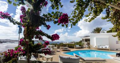 Lees alles over Hotel Rhenia  in de plaats Agios Stéfanos op Mykonos voor je vakantie in 2025
