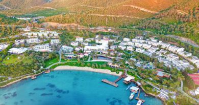 Lees alles over Hotel Rixos Premium Bodrum in de plaats Torba op Egeïsche Kust voor je vakantie in 2027