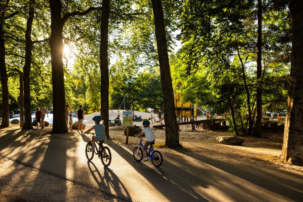 Boek een vakantie naar RCN het Grote Bos voor 2027