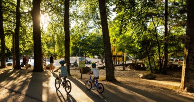 Boek een vakantie naar RCN het Grote Bos voor 2027