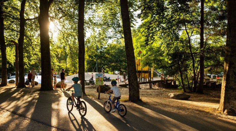 Boek een vakantie naar RCN het Grote Bos voor 2027